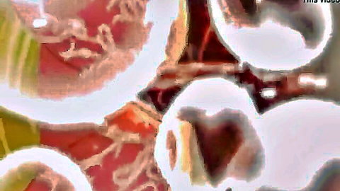 Blanca Nieves hentai parody with abstract pink erotic shapes and fluids