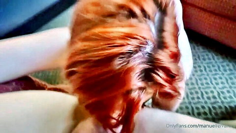POV closeup of ginger cat's furry ass and tailhole spread on couch