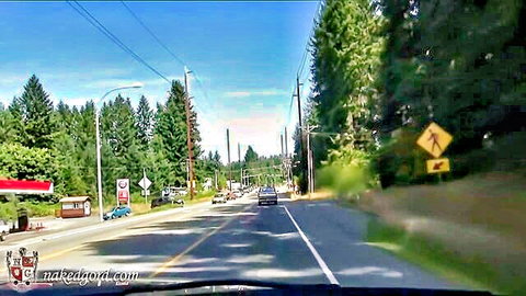 Scenic road drive with van BDSM theme near gas station