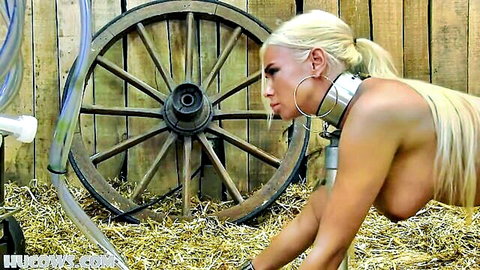 Topless blonde with huge tits and steel collar crawls on all fours in barn hay