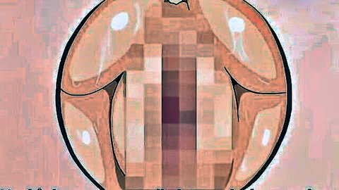 Chi Chi hentai anime teen in perverted crazy XXX scene