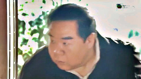 Blurry image of Asian man in dark shirt speaking near window with plants