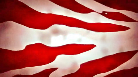 Abstract red and white striped hentai art from Joshi Luck! 1 video