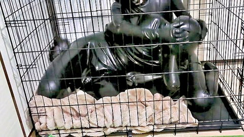 Latex-clad figures in rubber bitchsuit trapped in BDSM cage