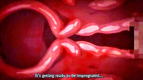 Hentai close-up of open cervix and fallopian tubes ready for creampie impregnation