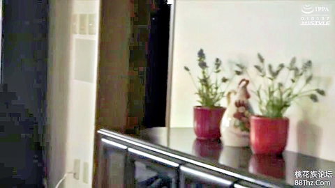 Empty cozy room corner featuring black cabinet with red pots of lavender plants on white wall