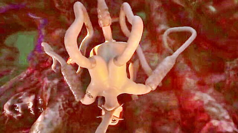 Brigitte hentai tentacle porn: busty blonde penetrated by multiple tentacles