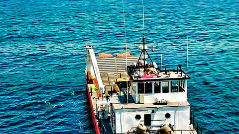 Aerial view of cargo barge loaded with wood stacks and pink mat on blue ocean