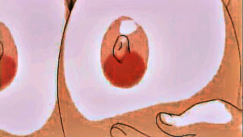 Hentai anime girl with large exposed breasts and pink nipples closeup