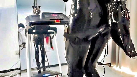 Shiny latex ponygirl in BDSM dog play on treadmill