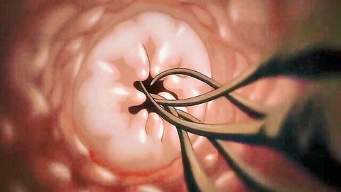 Hentai tentacles penetrating tight pink anime pussy in close-up