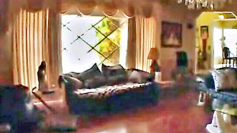 Empty luxurious living room with plush green couch, statues, chandelier and sunny lattice window.