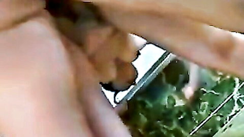 Mature Japanese woman in explicit close-up oral sex scene