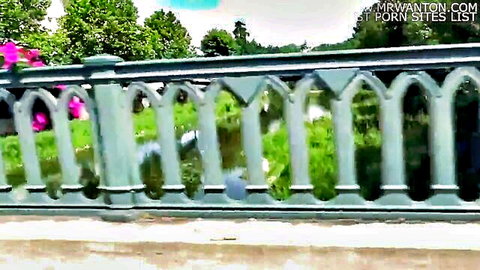 Lush outdoor forest railing with gothic arches and pink flowers ideal for wild outdoor fucking