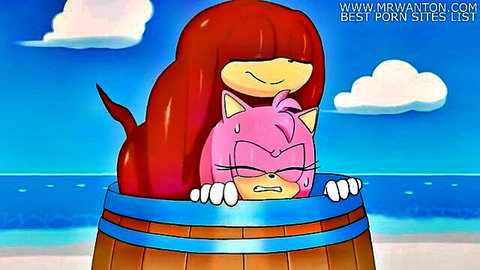 Amy Rose embraced by Knuckles in barrel Sonic hentai scene