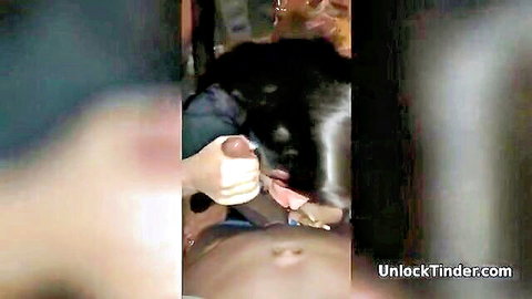 White girl with dark hair giving sloppy blowjob to big black cock, amateur style