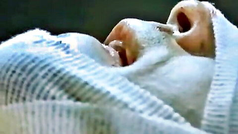Close-up of bandaged woman exposing open mouth in erotic tease