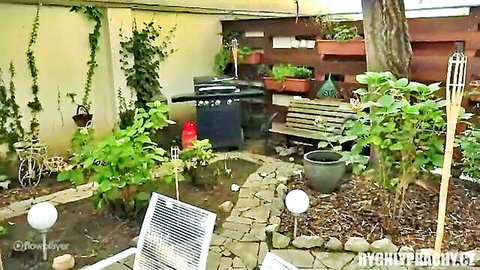 Serene backyard garden with barbecue grill and lush plants
