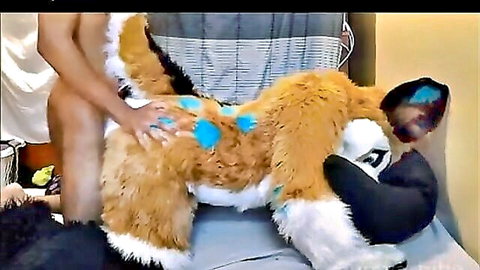 FreyaShibe in furry doggy suit enjoys intimate play with nude partner