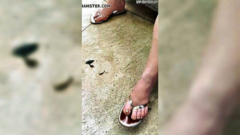 Sexy gold-painted toes in shimmering gold thong sandals close-up