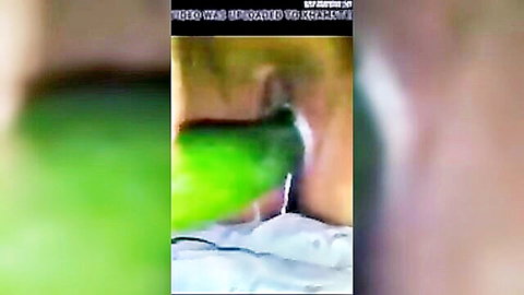 Indian woman deepthroating green dildo in explicit oral scene