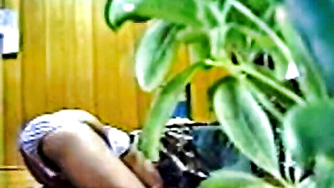 Beli, sexy Indian girl masturbating in white lingerie, bent over pose
