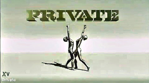 Private XV logo with two sexy gymnast silhouettes posing erotically