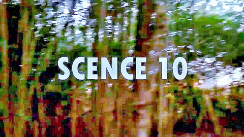 Scene 10 outdoor forest setting in Wetheadmedia's She's Back series