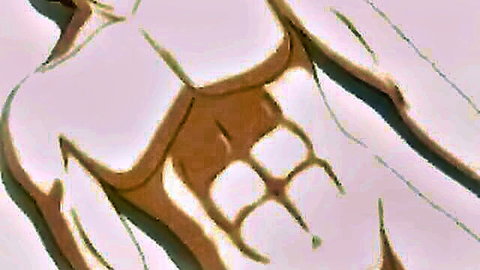 Muscular animated male torso with defined abs in erotic pose