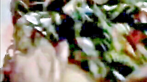 Bangladeshi nurse Salina fucked by ward boy in steamy hospital encounter
