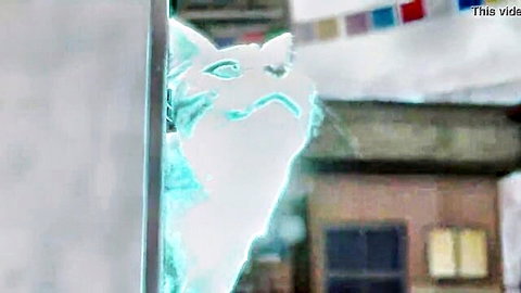 Ethereal blue glowing cat face peeking from window in surreal scene