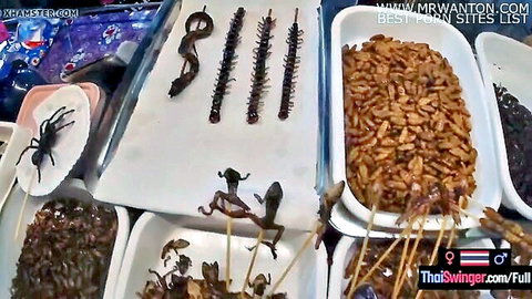 Exotic Thai street food skewers with scorpions, spiders, snakes, frogs, and crickets