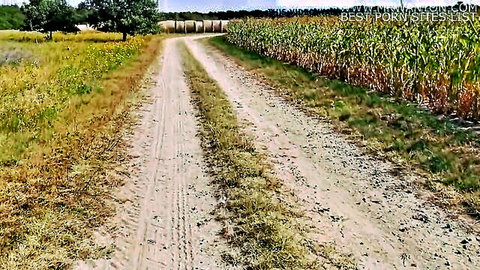 Scenic dirt road through cornfields and fields in rural outdoor setting