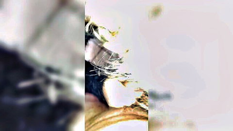 Blonde woman sucking big hard cock closeup