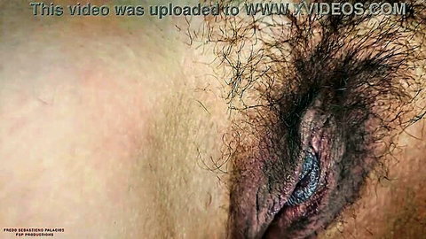 Closeup of hairy wet pussy with spread labia and visible vaginal opening