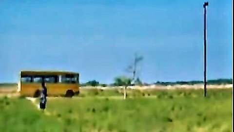 Woman in black near yellow school bus in grassy field outdoor scene