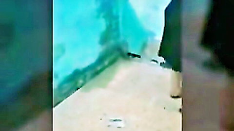 Arab Egyptian sharmota in Antel El Giza amateur porn thumbnail