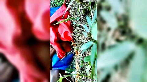 Blurry outdoor scene of woman in red and blue fabrics amid grass, teasing Hindu-Muslim theme
