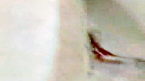Suzie sucks cock and gets fucked in explicit porn scene