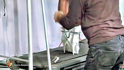 BDSM bondage setup with white high heels locked to treadmill in fetish scene