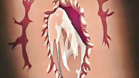 Hentai anime close-up of dripping creampie pussy in explicit style