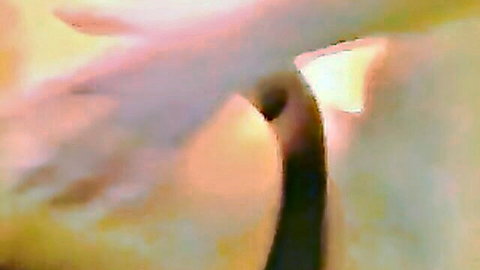 Hand spreading pale woman's ass cheeks wide open exposing tight pink anus closeup