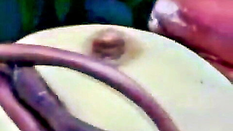 Close-up of big pale tits with erect nipple on couch