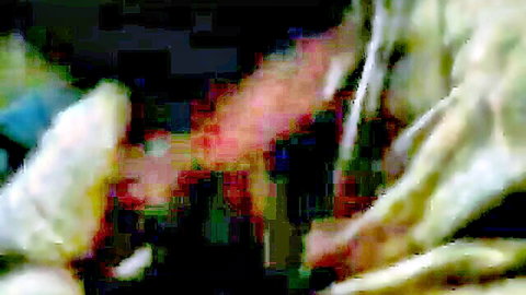 Indian amateur with nasty mouth gives sloppy blowjob to dude