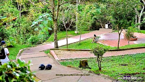 Inkapillada rich Latina exhibitionist flashing big tits in Colombian park