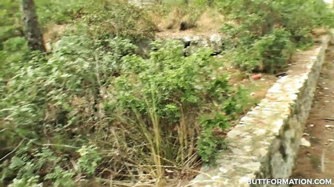 Lush green bushes line stone wall and dirt path in outdoor scenic view