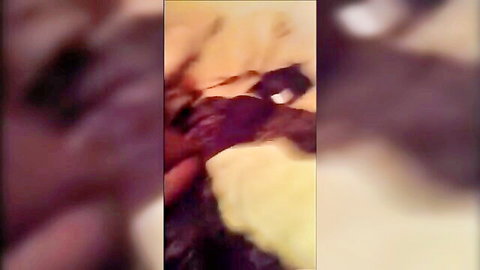 Blurry cuckold compilation of wife with bull in yellow-lit sex scenes