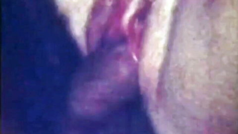 Ron Jeremy and Ginger Lynn devouring Peach Pie's wet pussy in retro threesome