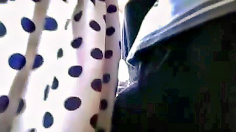 Man rubs BBC on girl's polka dot dress butt in crowded bus