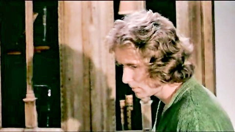 Retro solo scene with long-haired man in green tunic, thoughtful pose
